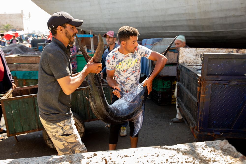 Synopsis-Essaouira-7.jpg