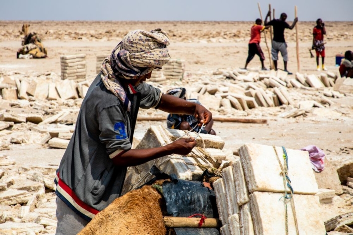 Un Afar charge un dromadaire avec des plaques de sel, dans le désert du Danakil