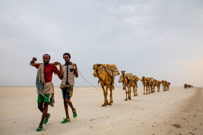 Une caravane de sel dans le désert du Danakil, photo en contre plongée