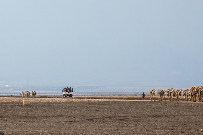 Vue panoramique sur le désert du Danakil et sur un camion et des dromadaires