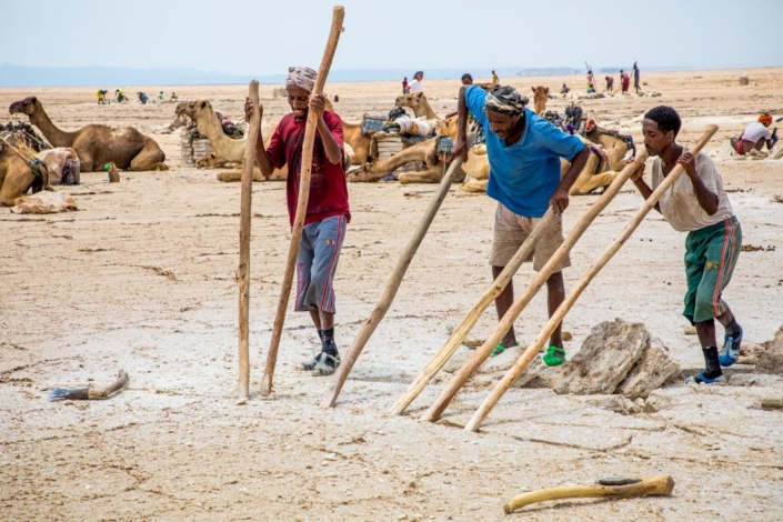 Reportage journalistique sur les travailleurs du sel du Danakil