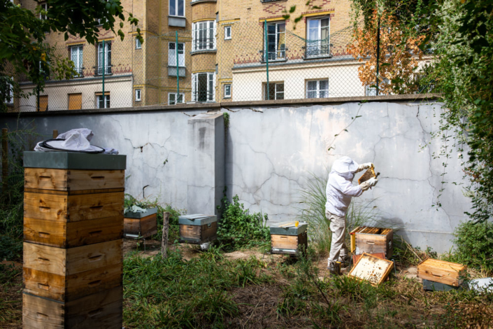 Un apiculteur inspecte une ruche située contre un mur.