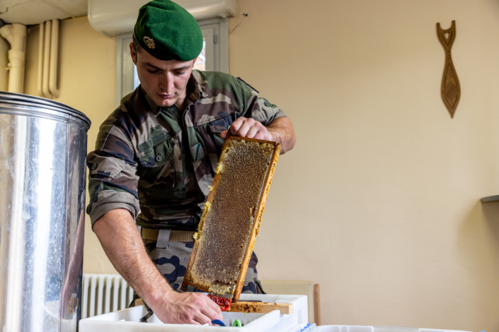 Un légionnaire désopercule les alvéoles d'un cadre de miel