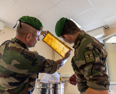 Deux légionnaires apiculteurs en uniforme regardent un cadre de miel.