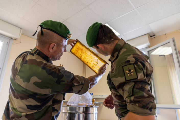 Deux légionnaires apiculteurs en uniforme regardent un cadre de miel.