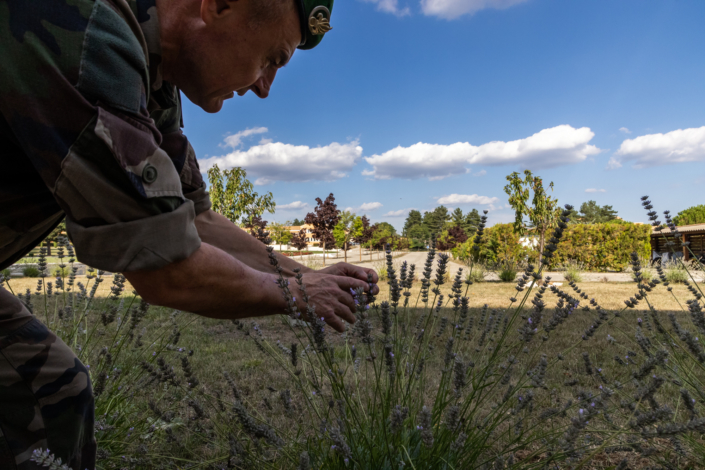 Un légionnaire observe des fleurs de lavande.