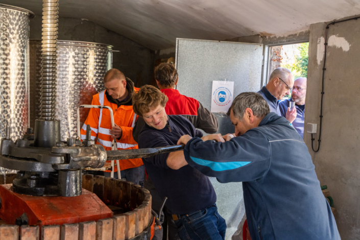 Des hommes pressent le raisin manuellement