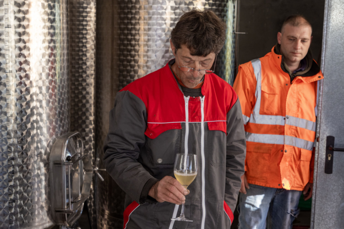 Photo d'un vigneron qui goute le jus de raisin