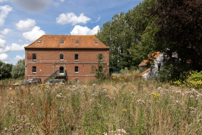 Vue sur un moulin à eau dans les patûrages