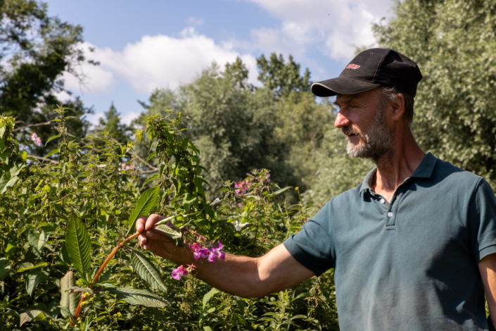 Un homme cueille une fleur. Il représente l'Agence de l'eau.