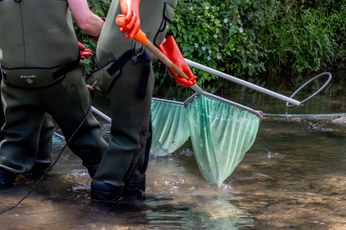 Photographie des épuisettes et électrodes tenues par des inspecteurs de l'environnement.