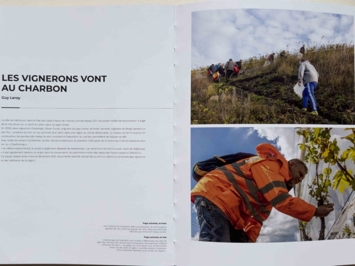 Viticulture sur un terril dans les Hauts-de-France - Haillicourt, bassin minier en reconversion