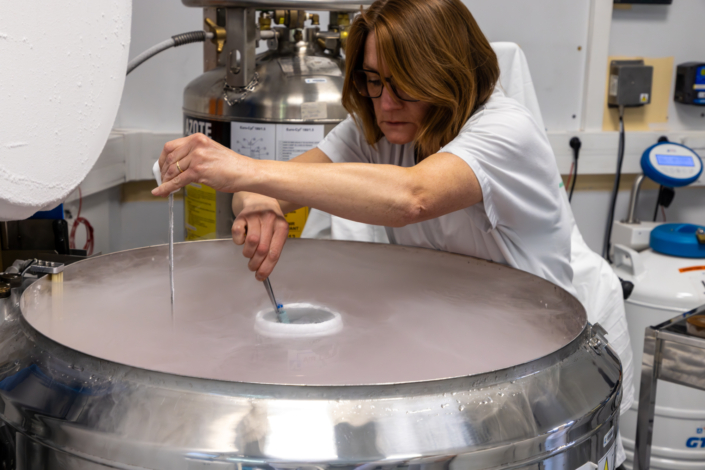 PMA – Cryoconservation Biologiste manipulant des échantillons cryoconservés dans une cuve d’azote liquide au CHU de Lille
