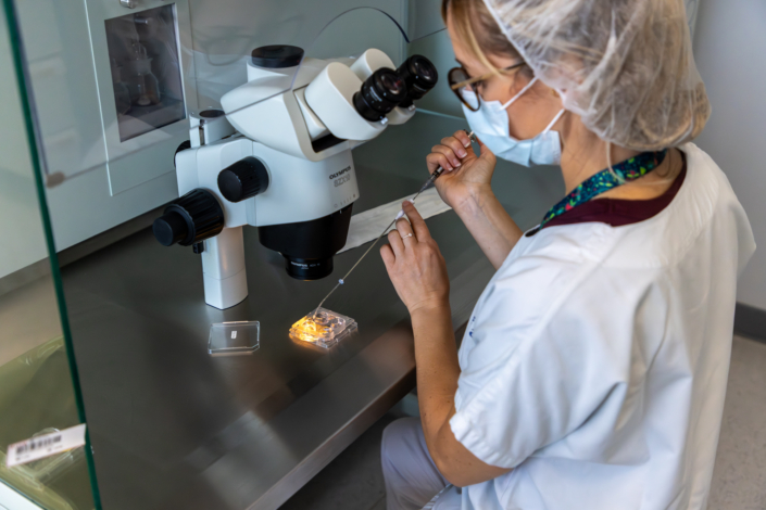 AMP – Travail au microscope Biologiste manipulant une préparation sous microscope dans le laboratoire d’AMP du CHU de Lille